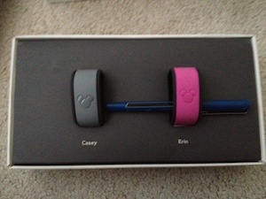 Magic Bands