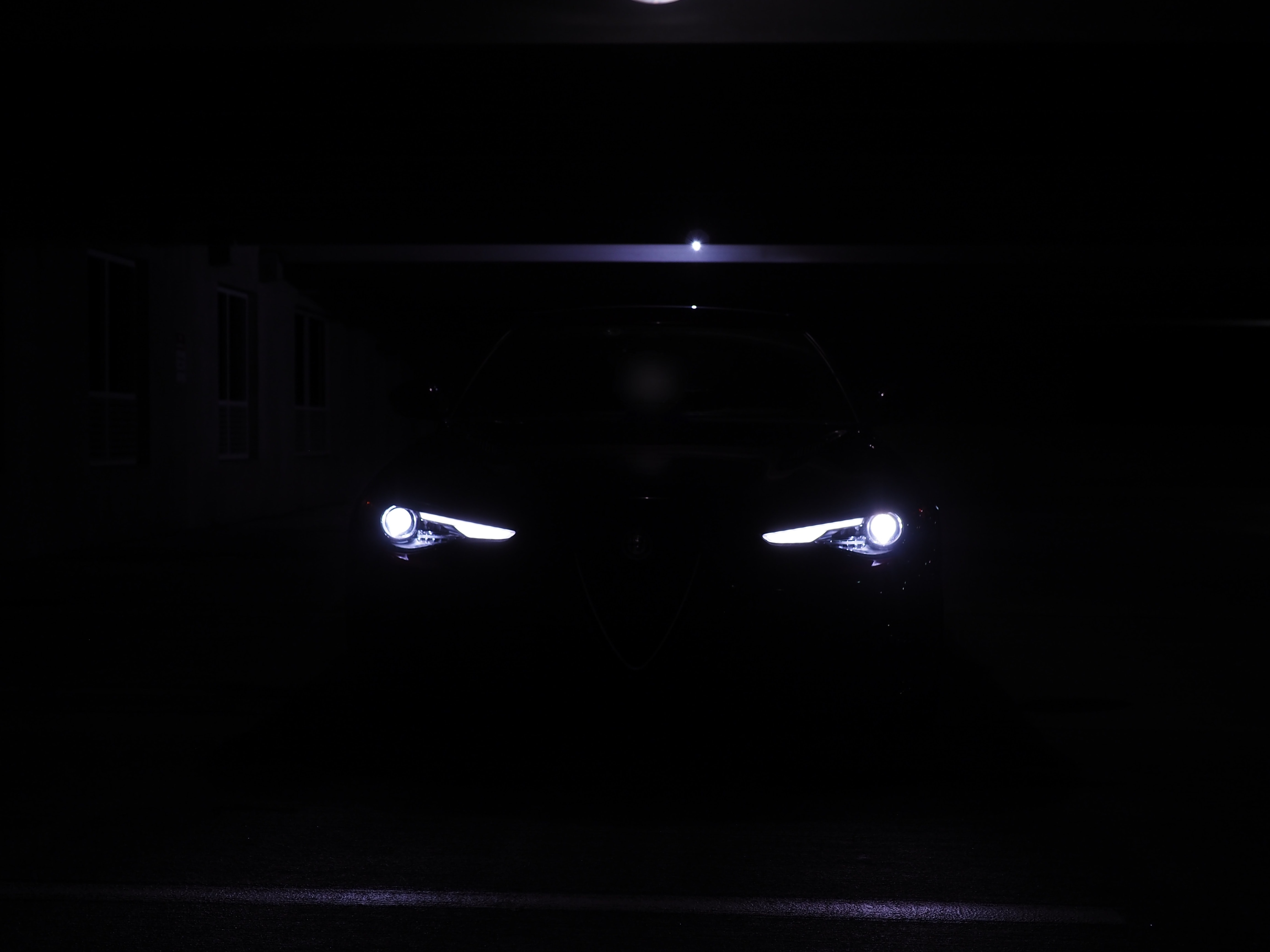 Giulia in the Dark