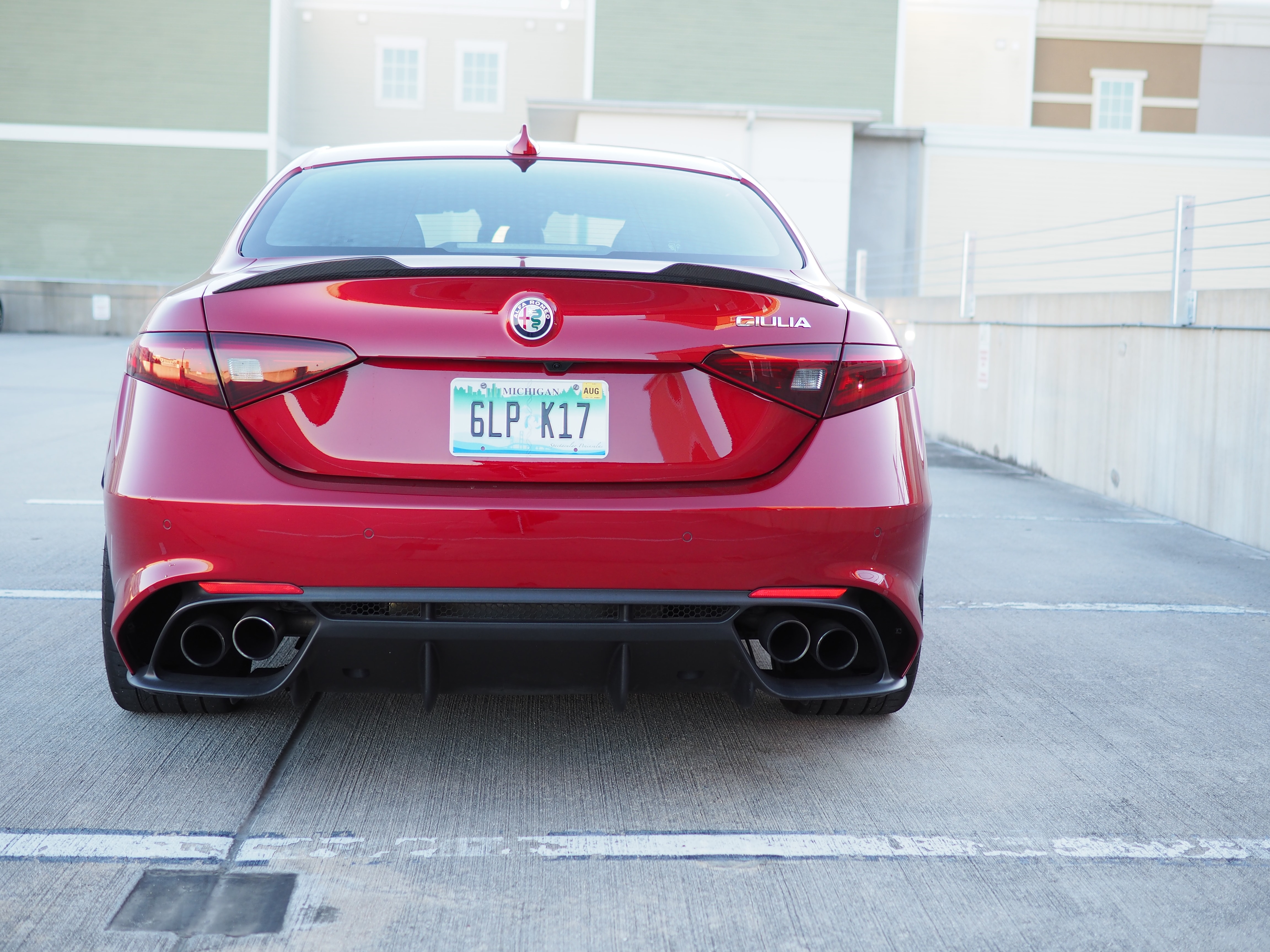 Hindquarters of the Giulia