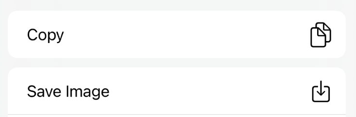 The options on a ShareSheet, the second of which is "Save Image"